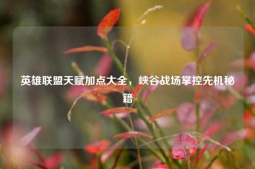 英雄联盟天赋加点大全，峡谷战场掌控先机秘籍