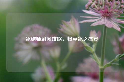 冰结师刷图攻略，畅享冰之盛宴
