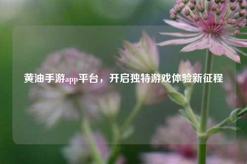 黄油手游app平台，开启独特游戏体验新征程
