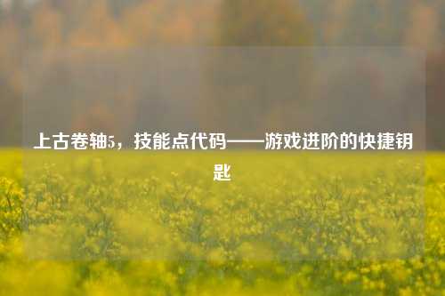上古卷轴5，技能点代码——游戏进阶的快捷钥匙