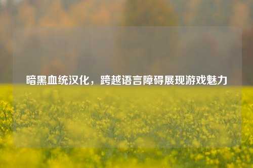 暗黑血统汉化，跨越语言障碍展现游戏魅力