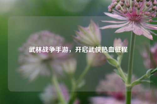武林战争手游,开启武侠热血征程