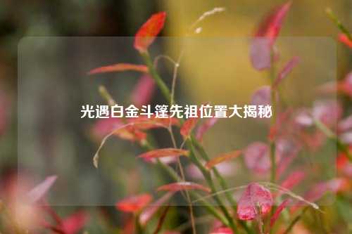 光遇白金斗篷先祖位置大揭秘