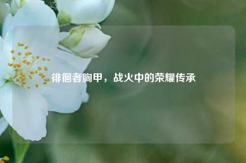 徘徊者胸甲，战火中的荣耀传承