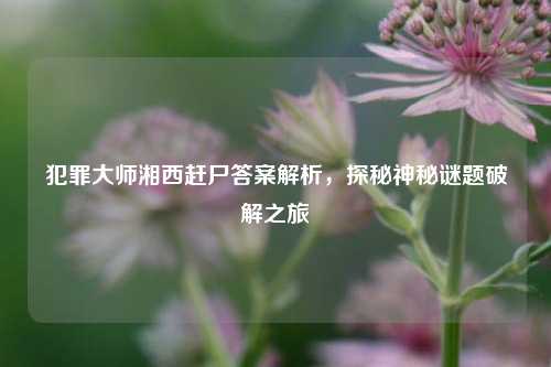 犯罪大师湘西赶尸答案解析，探秘神秘谜题破解之旅