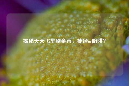 揭秘天天飞车刷金币,捷径or陷阱?